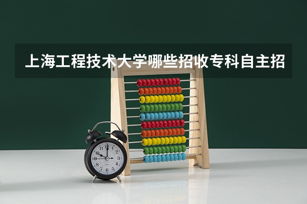 上海工程技术大学哪些招收专科自主招生