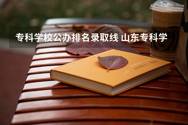 专科学校公办排名录取线 山东专科学校排名及录取分数线