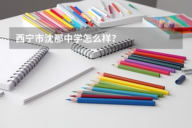西宁市沈那中学怎么样？
