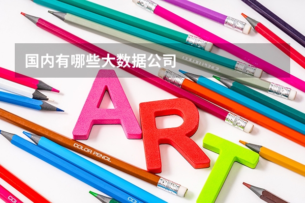 国内有哪些大数据公司