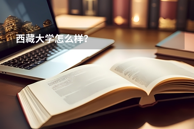 西藏大学怎么样？