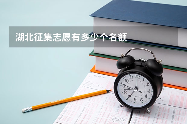湖北征集志愿有多少个名额