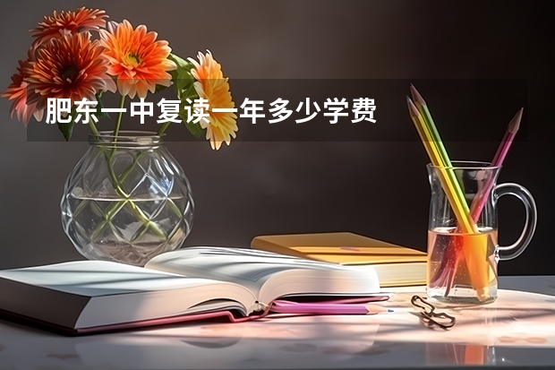 肥东一中复读一年多少学费