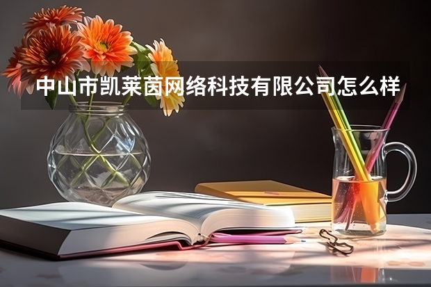 中山市凯莱茵网络科技有限公司怎么样？