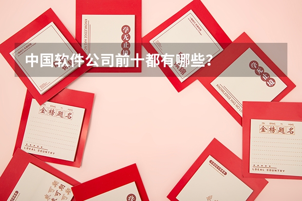 中国软件公司前十都有哪些？