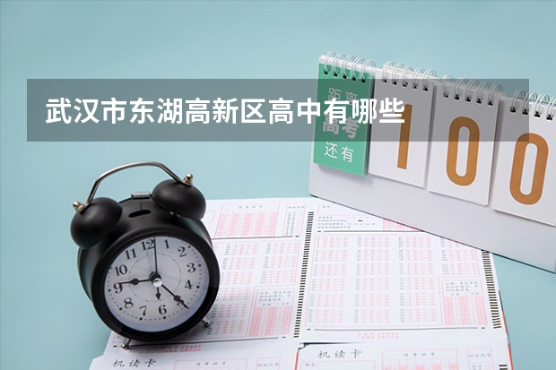 武汉市东湖高新区高中有哪些