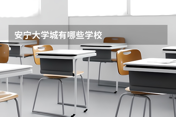 安宁大学城有哪些学校