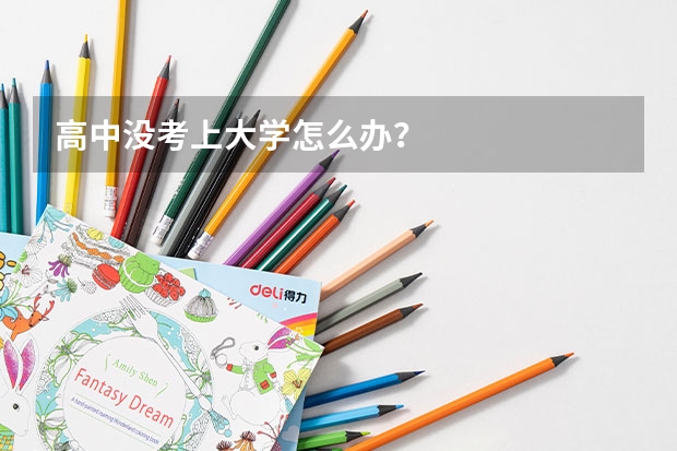 高中没考上大学怎么办?