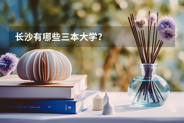 长沙有哪些三本大学?