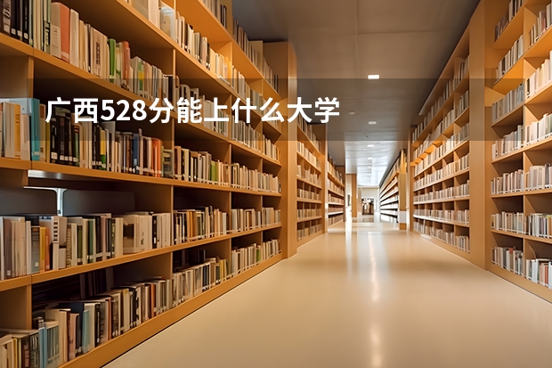 广西528分能上什么大学
