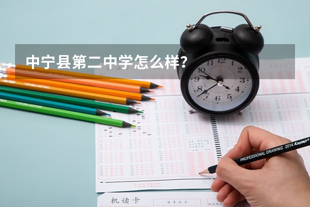 中宁县第二中学怎么样？