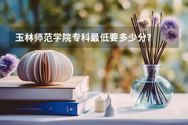 玉林师范学院专科最低要多少分？